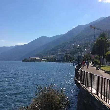 Daire Moira By Fewotessin *