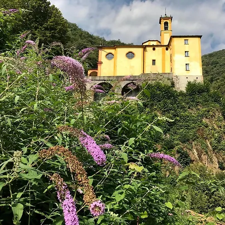 Apartman Moira By Fewotessin Brissago